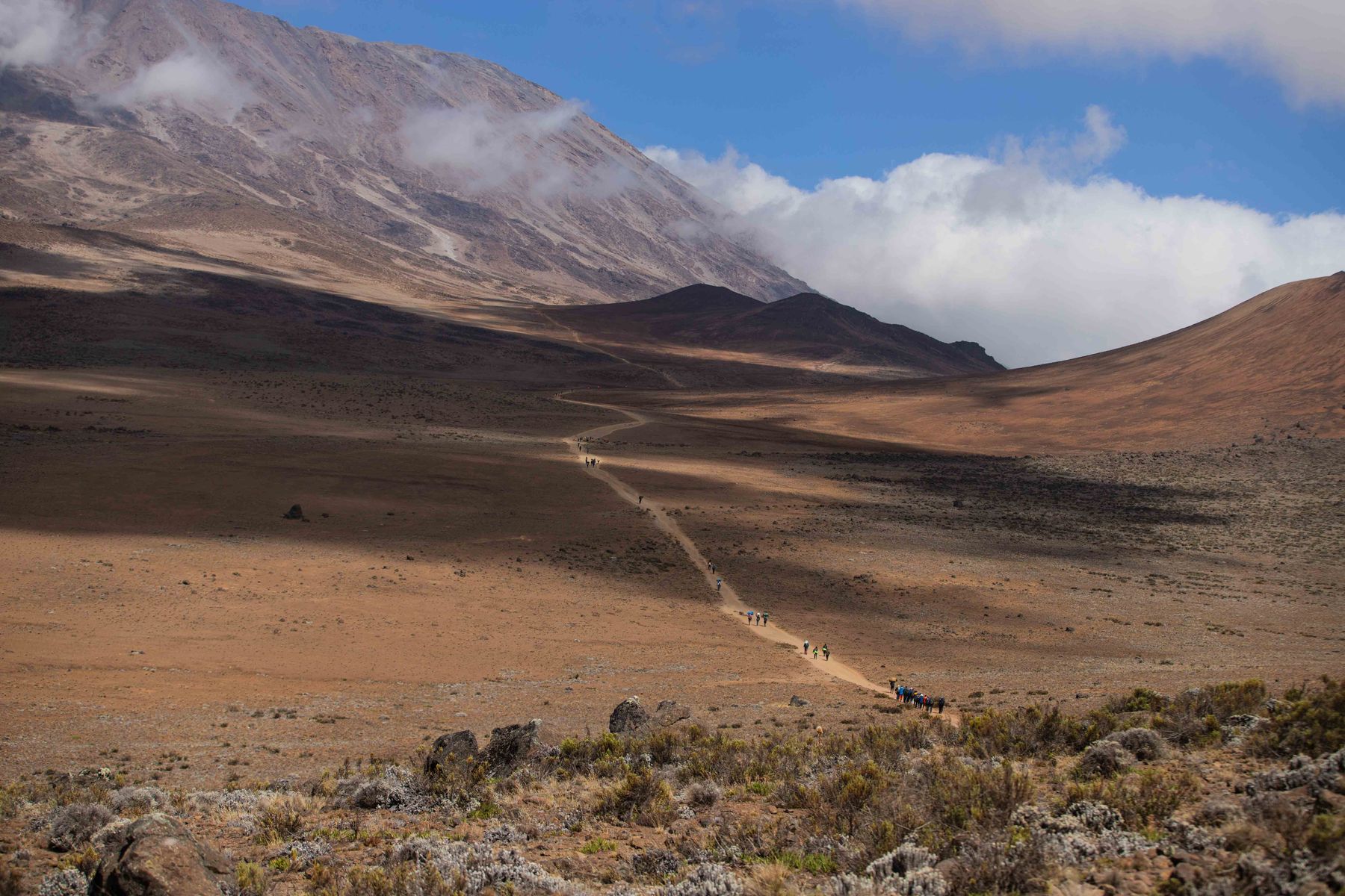 Trekking Path on Mount Kilimanjaro in Tanzania