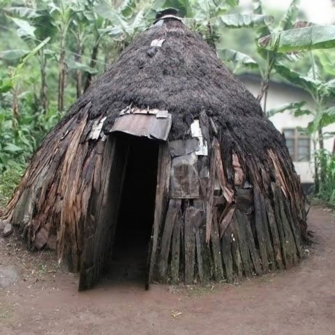 Maison traditionnelle de Chagga : explorez l'histoire culturelle avec vos hôtes.